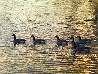PICT1337-01 web